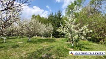 casa-batraneasca-din-lemn-de-vanzare-in-campulung-muscel-arges-teren-5000-mp-7