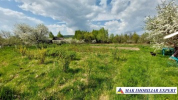 casa-batraneasca-din-lemn-de-vanzare-in-campulung-muscel-arges-teren-5000-mp-3