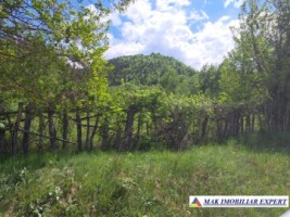 teren-intravilan-1053-mp-de-vanzare-in-lunca-gartii-stoenesti-arges-1