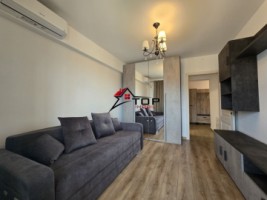 inchiriere-apartament-1-camera-decomandat-pepinierii