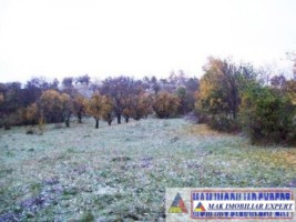 oferta-speciala-teren-intravilan-de-1000-mp-in-campulung-muscel-arges-11
