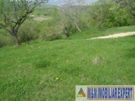 2-parcele-x-800-mp-intravilan-de-vanzare-pe-calea-targovistei-in-campulung-muscel-arges-2