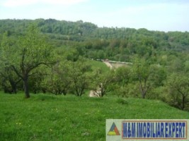 2-parcele-x-800-mp-intravilan-de-vanzare-pe-calea-targovistei-in-campulung-muscel-arges-6