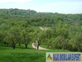 2-parcele-x-800-mp-intravilan-de-vanzare-pe-calea-targovistei-in-campulung-muscel-arges-10