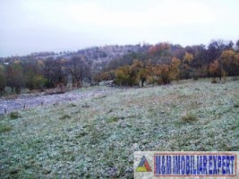2-parcele-x-800-mp-intravilan-de-vanzare-pe-calea-targovistei-in-campulung-muscel-arges-14