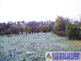 2-parcele-x-800-mp-intravilan-de-vanzare-pe-calea-targovistei-in-campulung-muscel-arges-15
