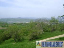 2-parcele-x-800-mp-intravilan-de-vanzare-pe-calea-targovistei-in-campulung-muscel-arges-11