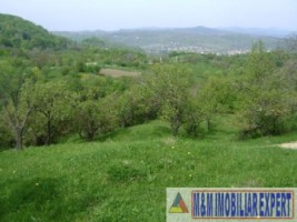 2-parcele-x-800-mp-intravilan-de-vanzare-pe-calea-targovistei-in-campulung-muscel-arges-7
