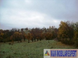 2-parcele-x-800-mp-intravilan-de-vanzare-pe-calea-targovistei-in-campulung-muscel-arges-16