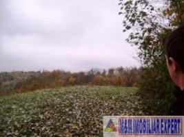 2-parcele-x-800-mp-intravilan-de-vanzare-pe-calea-targovistei-in-campulung-muscel-arges-17