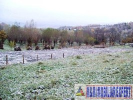 2-parcele-x-800-mp-intravilan-de-vanzare-pe-calea-targovistei-in-campulung-muscel-arges-18
