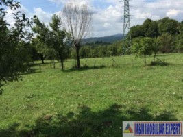 teren-extravilan-111-ha-de-vanzare-pe-calea-targovistei-in-campulung-muscel-arges-ideal-pentru-activitati-agricole-1