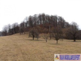 teren-extravilan-111-ha-de-vanzare-pe-calea-targovistei-in-campulung-muscel-arges-ideal-pentru-activitati-agricole-3