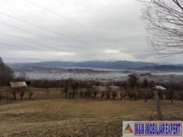 teren-extravilan-111-ha-de-vanzare-pe-calea-targovistei-in-campulung-muscel-arges-ideal-pentru-activitati-agricole-4