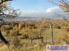 teren-extravilan-111-ha-de-vanzare-pe-calea-targovistei-in-campulung-muscel-arges-ideal-pentru-activitati-agricole-6