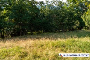 teren-intravilan-7000-mp-de-vanzare-in-bughea-de-sus-arges-3
