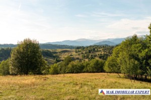 teren-intravilan-7000-mp-de-vanzare-in-bughea-de-sus-arges