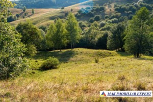 teren-intravilan-7000-mp-de-vanzare-in-bughea-de-sus-arges-2