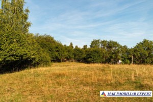 teren-intravilan-7000-mp-de-vanzare-in-bughea-de-sus-arges-1