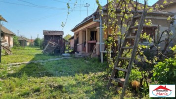 casa-in-odoreu-12-arii-45000-euro-id-22425-1