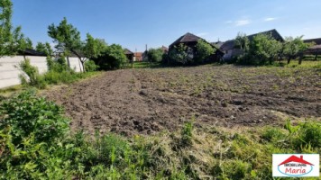 casa-in-odoreu-12-arii-45000-euro-id-22425-8