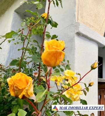 casa-musceleana-stil-conac-3-camere-teren-4000-mp-de-vanzare-valea-mare-pravat-arges-8