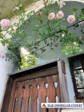 casa-musceleana-stil-conac-3-camere-teren-4000-mp-de-vanzare-valea-mare-pravat-arges-3