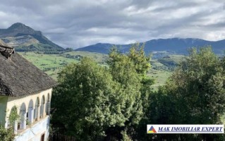 casa-musceleana-stil-conac-3-camere-teren-4000-mp-de-vanzare-valea-mare-pravat-arges-16