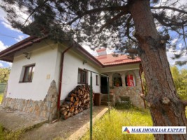 de-vanzare-vila-6-camere-cu-teren-3600-mp-cetateni-arges