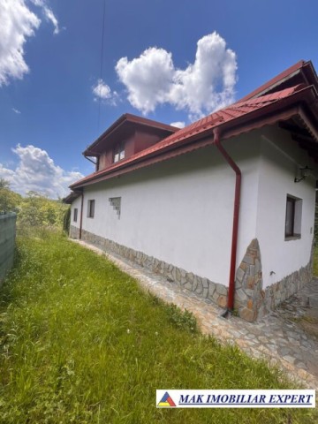 de-vanzare-vila-6-camere-cu-teren-3600-mp-cetateni-arges-4