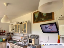 de-vanzare-vila-6-camere-cu-teren-3600-mp-cetateni-arges-6