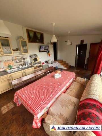 de-vanzare-vila-6-camere-cu-teren-3600-mp-cetateni-arges-8