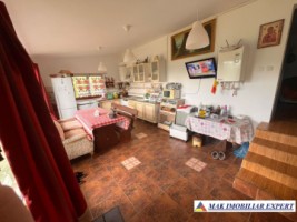 de-vanzare-vila-6-camere-cu-teren-3600-mp-cetateni-arges-7