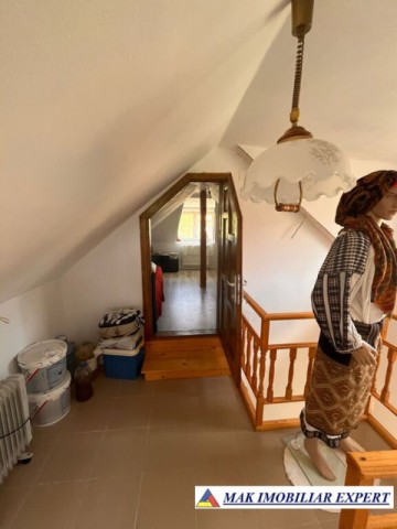 de-vanzare-vila-6-camere-cu-teren-3600-mp-cetateni-arges-20