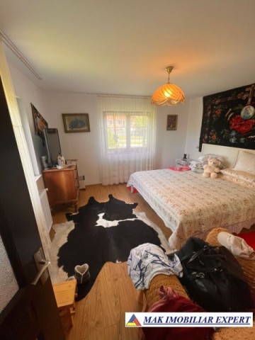 de-vanzare-vila-6-camere-cu-teren-3600-mp-cetateni-arges-15