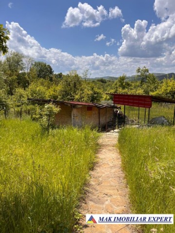 de-vanzare-vila-6-camere-cu-teren-3600-mp-cetateni-arges-44