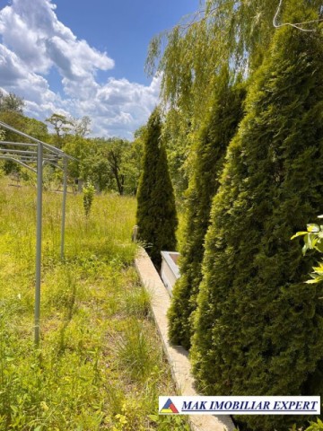 de-vanzare-vila-6-camere-cu-teren-3600-mp-cetateni-arges-43