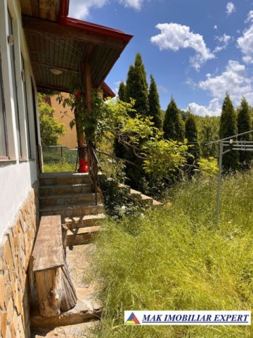 de-vanzare-vila-6-camere-cu-teren-3600-mp-cetateni-arges-42