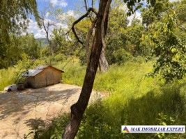 de-vanzare-vila-6-camere-cu-teren-3600-mp-cetateni-arges-45