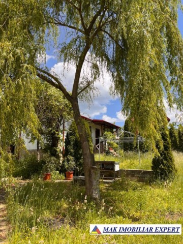 de-vanzare-vila-6-camere-cu-teren-3600-mp-cetateni-arges-48
