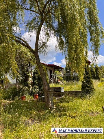 de-vanzare-vila-6-camere-cu-teren-3600-mp-cetateni-arges-49