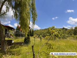 de-vanzare-vila-6-camere-cu-teren-3600-mp-cetateni-arges-52