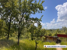 de-vanzare-vila-6-camere-cu-teren-3600-mp-cetateni-arges-50
