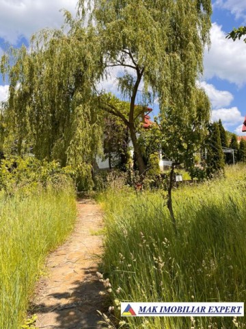 de-vanzare-vila-6-camere-cu-teren-3600-mp-cetateni-arges-47