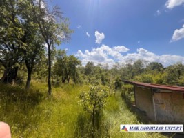 de-vanzare-vila-6-camere-cu-teren-3600-mp-cetateni-arges-46