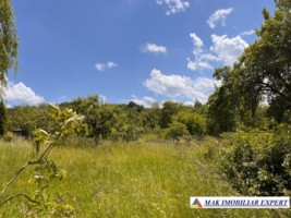 de-vanzare-vila-6-camere-cu-teren-3600-mp-cetateni-arges-53