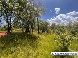 de-vanzare-vila-6-camere-cu-teren-3600-mp-cetateni-arges-55