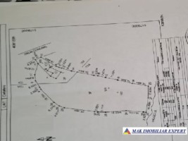 de-vanzare-vila-6-camere-cu-teren-3600-mp-cetateni-arges-58