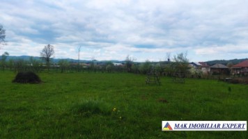 teren-intravilan-5000-mp-de-vanzare-in-aninoasa-ideal-pentru-constructii-rezidentiale-2