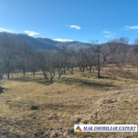 casa-2-camere-de-vanzare-teren-6747-mp-jugur-poenarii-de-muscel-arges-13
